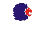 Lubricants Brand 3